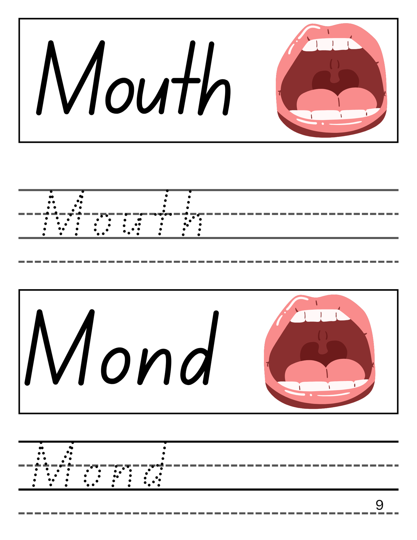 Pandu Learns Afrikaans Workbook