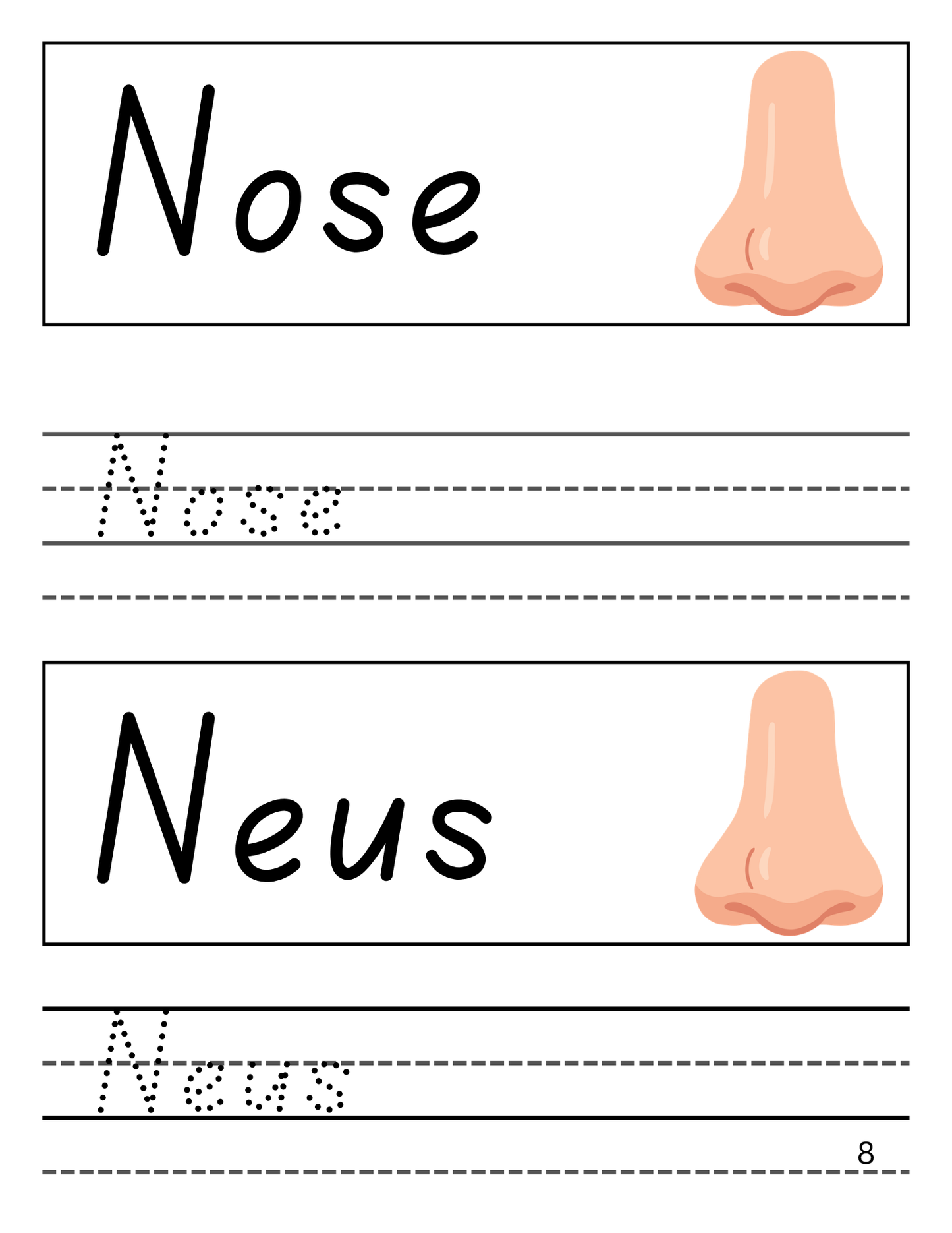 Pandu Learns Afrikaans Workbook